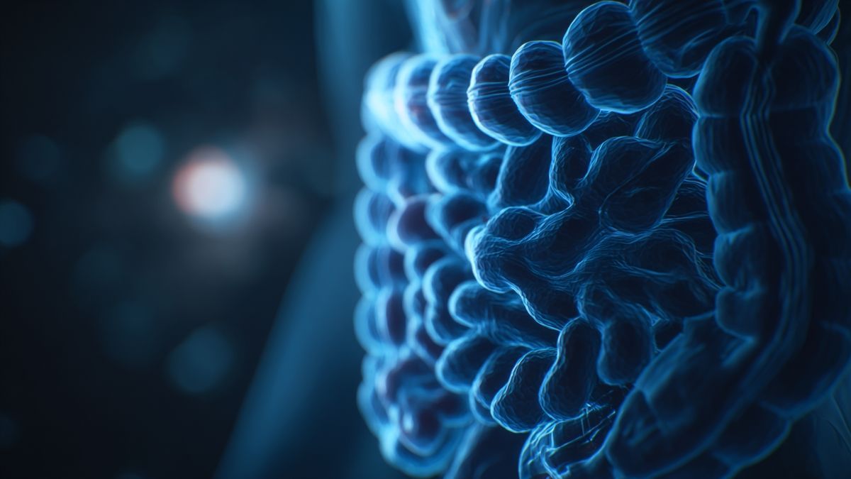 Quels sont les avantages des postbiotiques sur les maladies inflammatoires ?